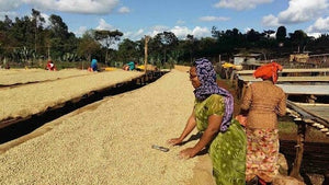 Guji Kercha, Guracho Washing Station