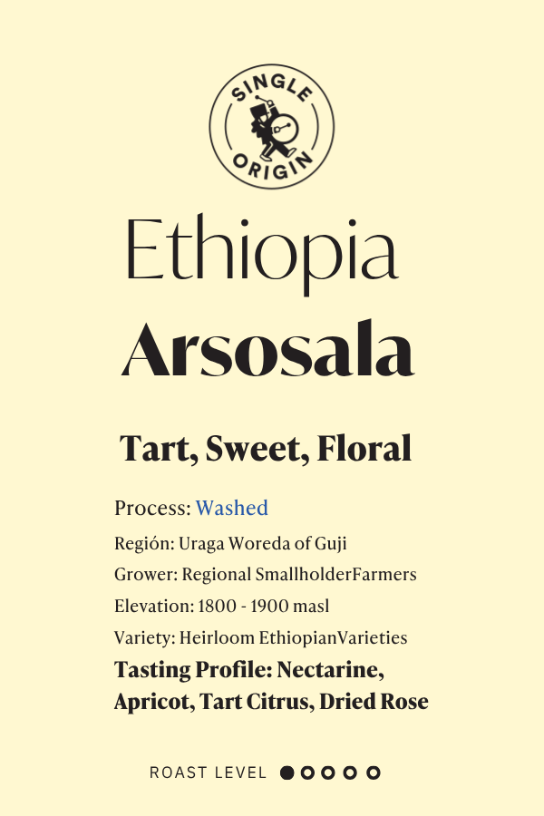 FRESH POTS! Ethiopia Arsosala - Washed