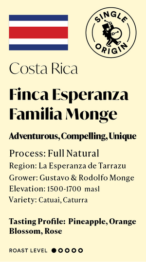 Costa Rica Familia Monge