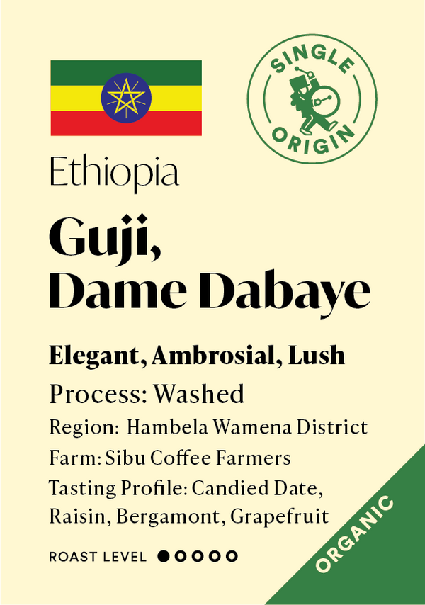 Ethiopia Guji Dame Dabaye